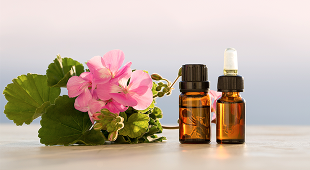 essential oils ogden orig